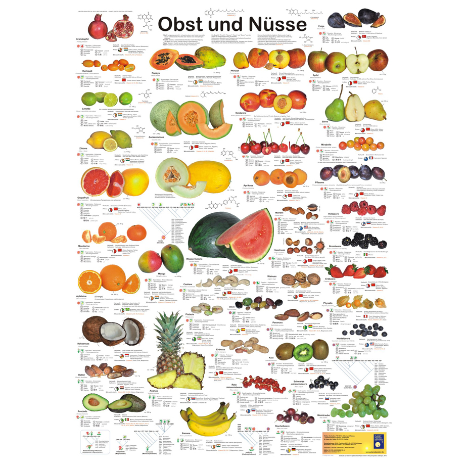 Poster Obst und Nüsse