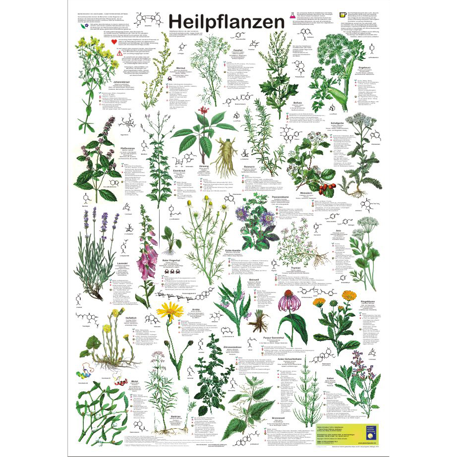 Bio Poster \"Heilpflanzen\"