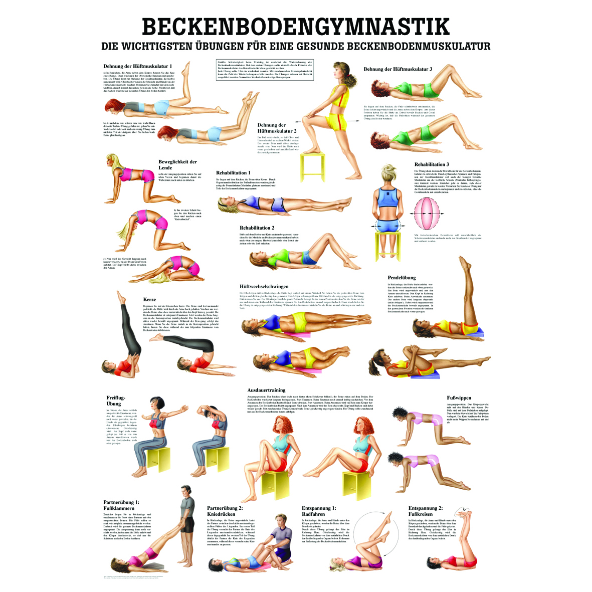 Anatomie-Poster "Beckenbodengymnastik"