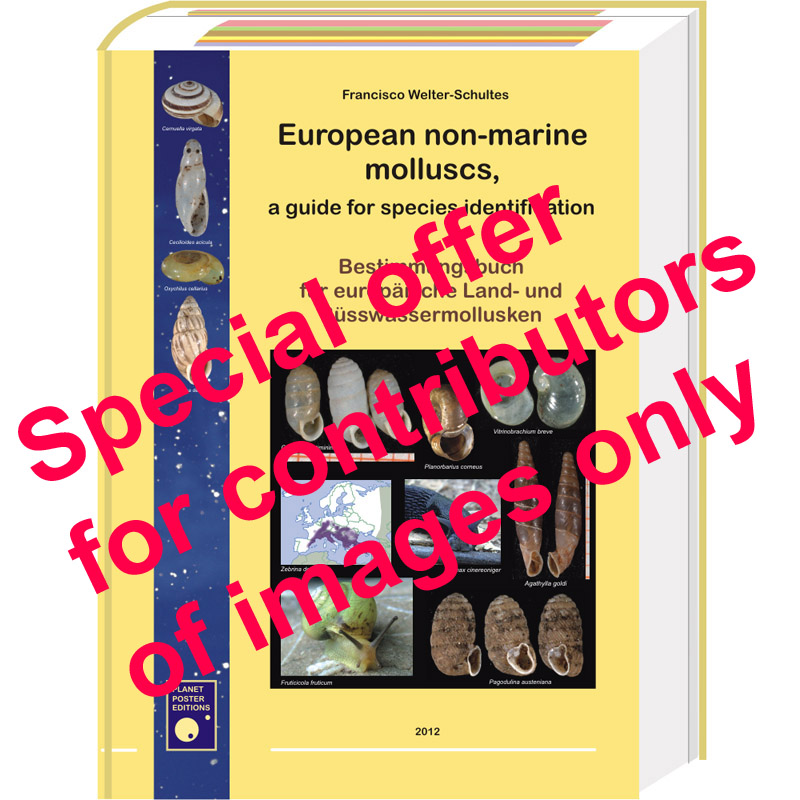 European non-marine molluscs, FOR AUTHORS USA and CA