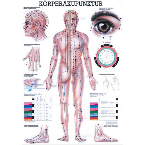 Anatomie-Poster "Körperakupunktur"