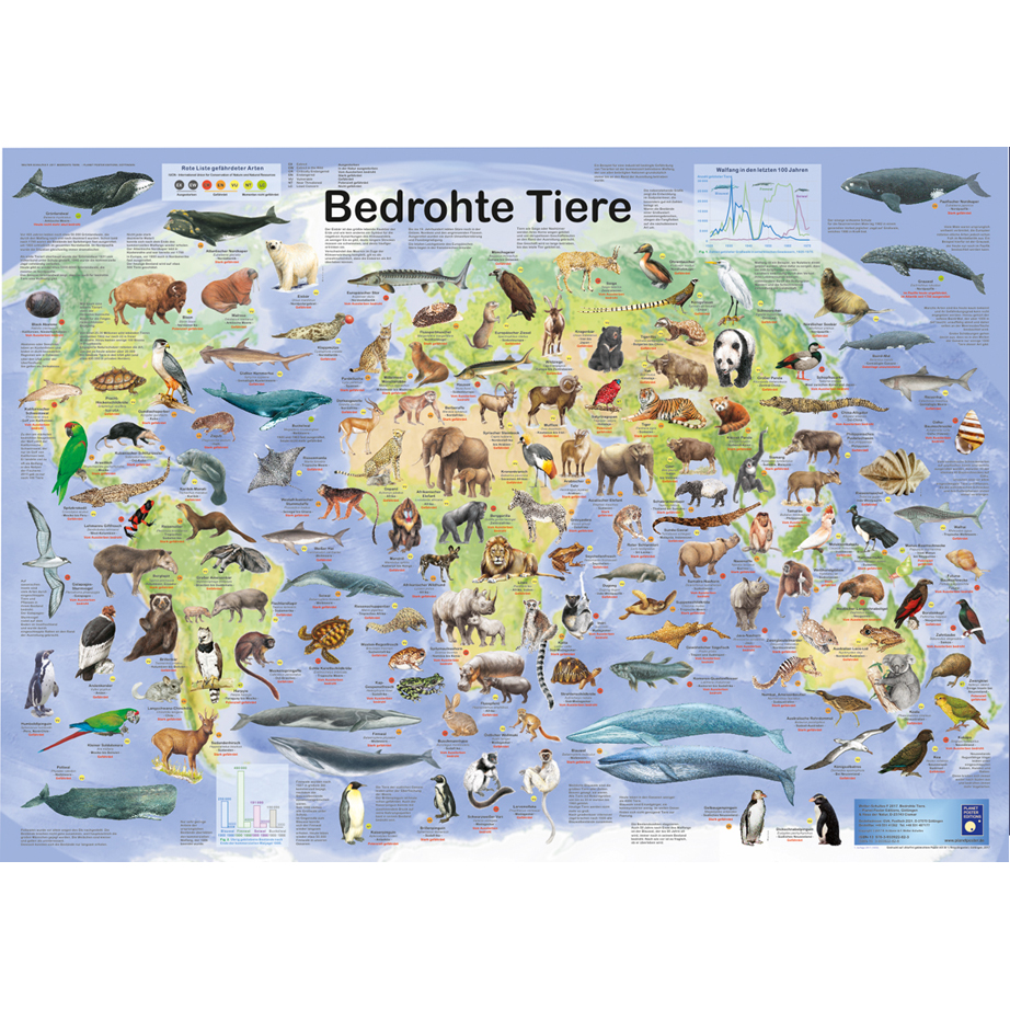 Bio-Poster "Bedrohte Tiere"