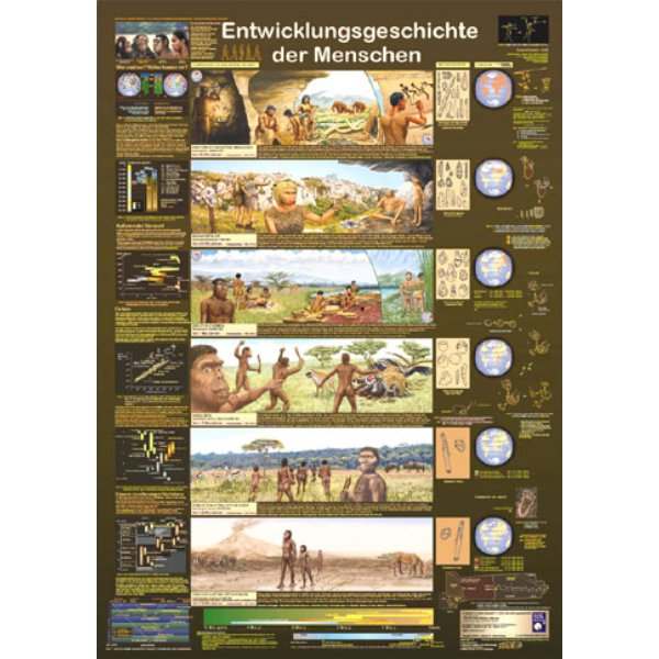 Bio-Poster \"Entwicklungsgeschichte der Menschen\"