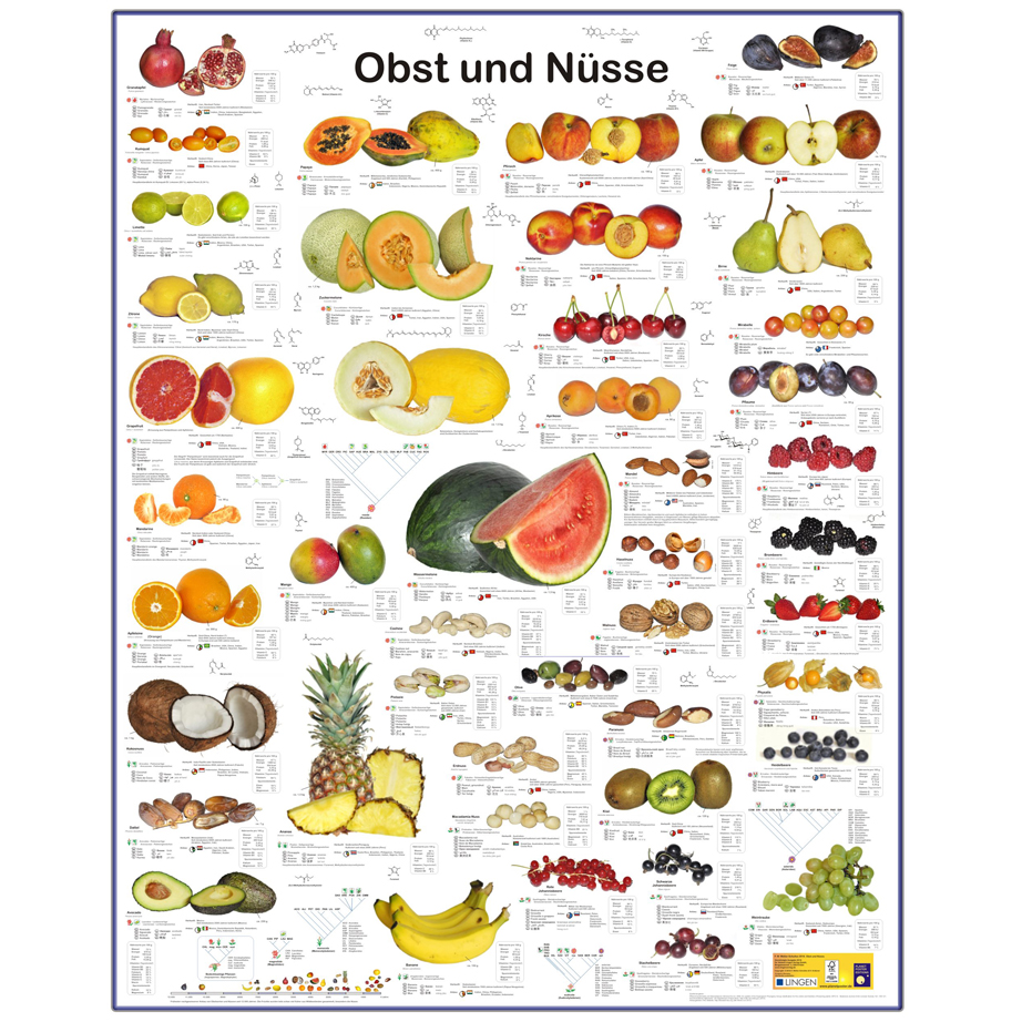 Grossposter Obst Und Nusse Wissenladen De