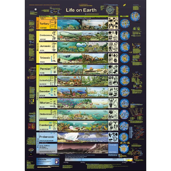 Bio-Poster \"Life on earth\"