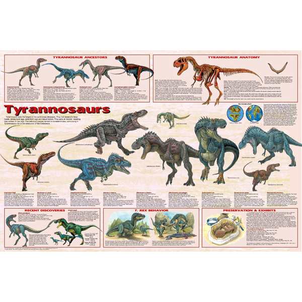 Feenixx-Poster "Tyrannosaurs"
