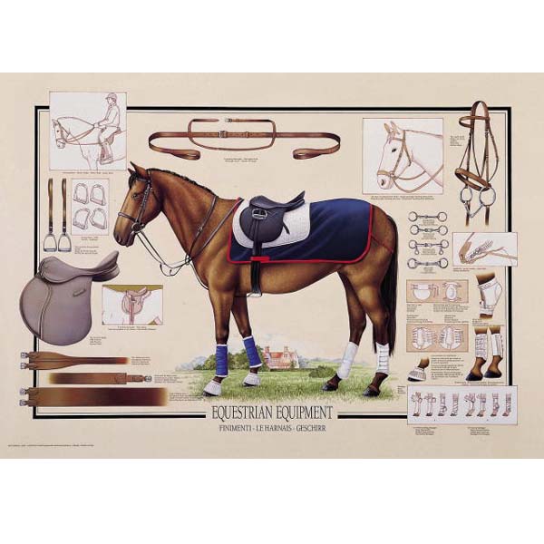 Poster "EQUESTRIAN EQUIPMENT"