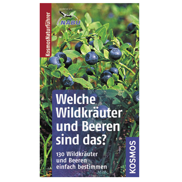Welche Wildkräuter und Beeren sind das?