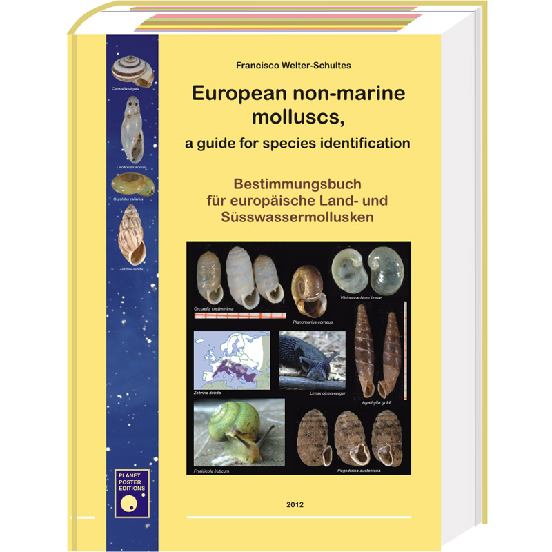 European non-marine molluscs, orders from USA and CA